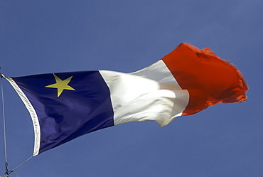 Acadian Flag