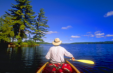 Canoeing, Big Trout Lake, Algonquin Park, Ontario