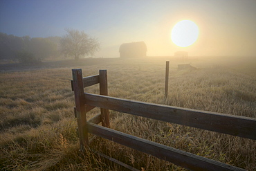 Foggy autumn sunrise over abandoned farm with fence and barn, Alberta prairie