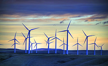 Windmill Farm outside of Pincher Creek, Alberta