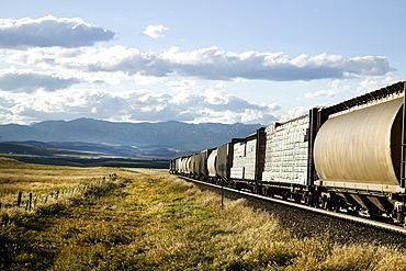 Freight Train, Southern Alberta