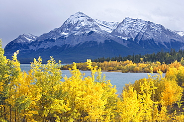 Lake Abraham and Eliot Peak, Kootenay Plains, Alberta, Canada