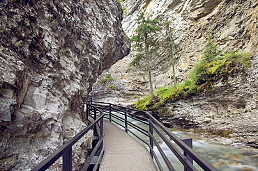 Boardwalk along Johnson Canyon, Banff National Park, Alberta, Canada