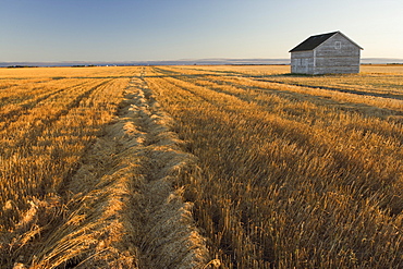 Grainery, near Regina, Saskatchewan, Canada