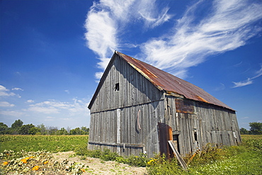 Old Barn, Haldimand County, Niagara Peninsula, Ontario, Canada