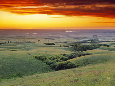 View from the Cypress Hills, Saskatchewan, Canada