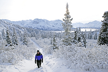 Hiker on Sheep Mountain, Kluane National Park, Yukon