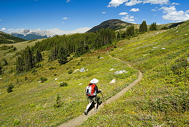 Woman Hiking on the Skyline Trail, Jasper National Park, Alberta