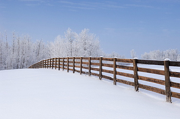 Fence in a winter wonderland, Strathcona County, Alberta