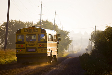 School bus on rural route on misty fall morning, Cookstown, Ontario