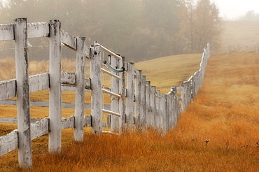 Farm fence on foggy autumn day, Strathcona County, Alberta