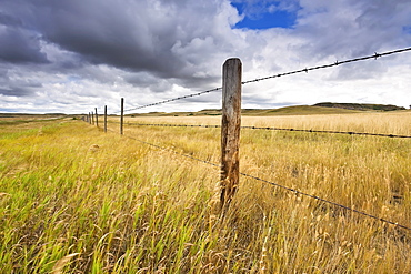 Pasture and fence on Canadian Prairie, Big Muddy Badlands, Saskatchewan