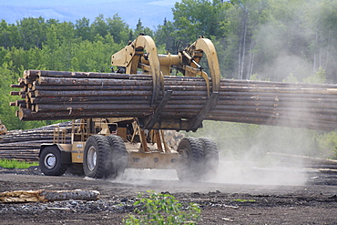 'Le Tourneau' log loader working in sawmill log yard, Houston, British Columbia