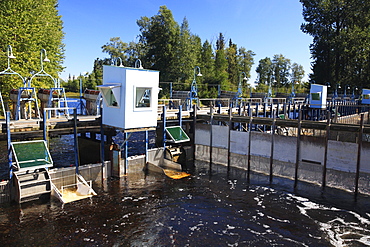 Salmon counting fence at Fulton River Enhancement Facility, the largest sockeye spawning channel in the world, Granisle, British Columbia