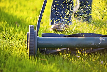 Cutting the grass with environmentally friendly push mower, Winnipeg, Manitoba