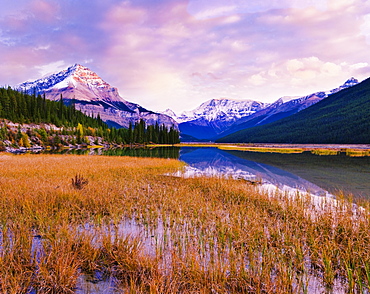 Tangle Ridge and Mount Kitchener at sunset reflected in pond near Beauty Creek Hostel, Jasper National Park, Alberta