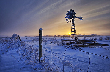 Hoar frost on a foggy winter sunset, Alberta