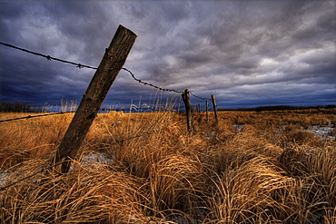 Barbed Wire Fence Posts with Dark Sky in Background, Alberta