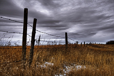 Barbed Wire Fence Posts with Dark Sky Behind, Alberta