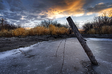 Fence Post and Barbed Wire Sticking Out of a Frozen Pond, Alberta