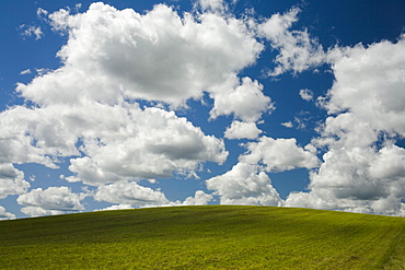 Clouds and Passing Shadow over Green Field, Avondale, Nova Scotia