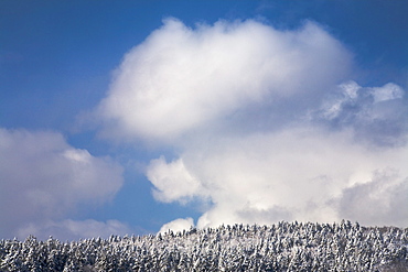 Clearing Storm Clouds over Snowy Hilltop, Bedford, Nova Scotia