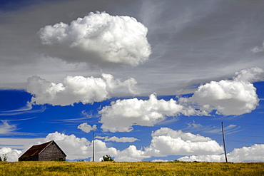 Barn and Summer Clouds, Avondale, Nova Scotia