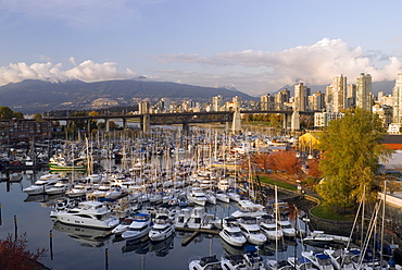 Marina at Granville Island with the Burrard Street Bridge and Downtown Skyline, Vancouver, British Columbia, Canada