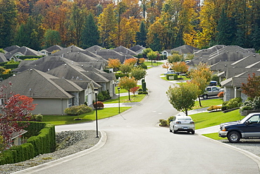 Suburban Neighbourhood in Autumn, Abbotsford, British Columbia