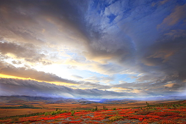 Clouds at sunrise at the Arctic Circle, Yukon