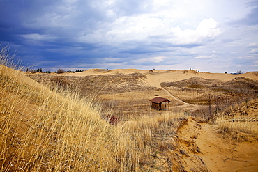 The Spirit Sands in spring, Spruce Woods Provincial Park, Manitoba
