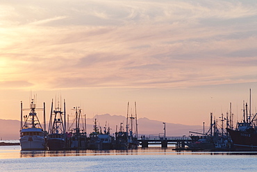 Fishing vessels at sunset with Vancouver Island mountains in the background, Richmond, British Columbia