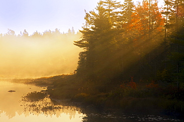 Mist at sunrise, Soldier lake, Nova Scotia