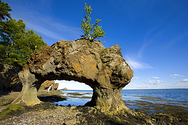 Woman walking through Bon Ami Rocks, Dalhousie, New Brunswick