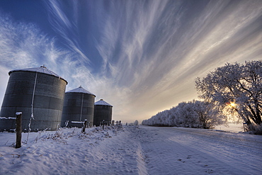 Grain silos along a snow covered winter road, rural Alberta