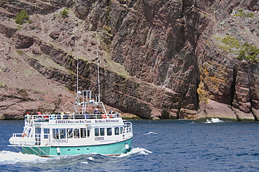 Tour Boat, Bay Bulls, Newfoundland and Labrador