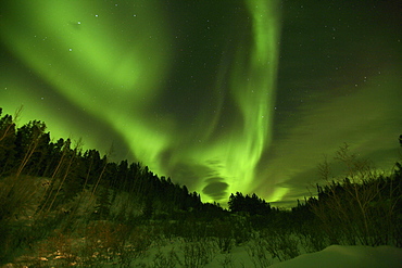 Aurora Borealis above Teslin, Yukon