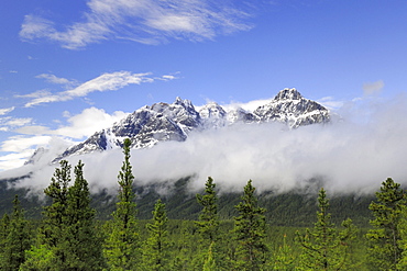 The Canadian Rocky Mountains seen along the Icefields Parkway, Jasper National Park, Alberta