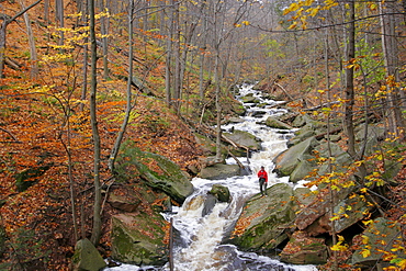 Hiker Standing on Rocks, Grindstone Creek, Waterdown, Ontario