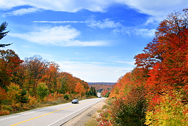 Car on a Tree Lined Highway in Autumn, Algonquin Park, Ontario