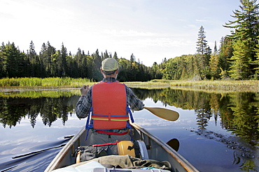 Man Paddling in a Canoe, Otterslide Creek, Algonquin Park, Ontario