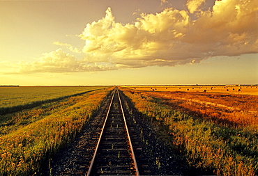 Railway through Farmland, near Carey, Manitoba