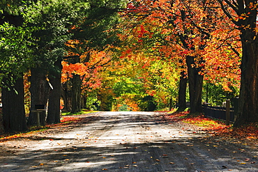 Gravel road and fall colours, Brigham, Eastern Townships, Quebec