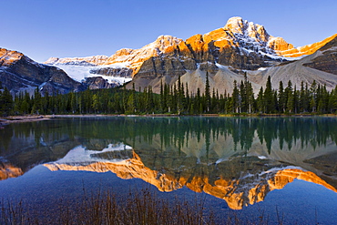 Bow Lake and Crowfoot Mountain at sunrise, Banff National Park, Alberta