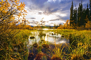 Yukon River and fall colours at sunset, Yukon