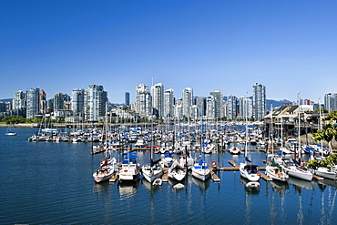 View from Millbank, False Creek, Vancouver, British Columbia