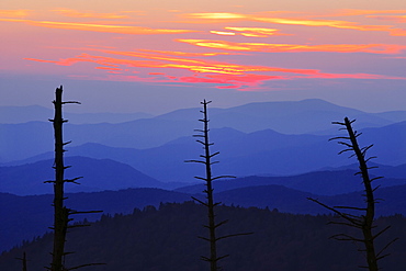 Dead trees and mountains at dusk from Clingmans Dome, Great Smoky Mountains National Park, North Carolina