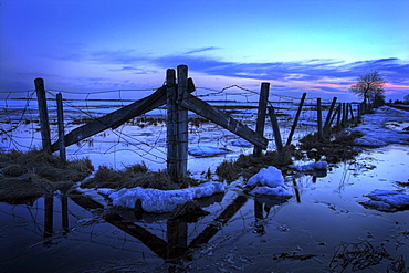 Barbed Wire Fence in Melting Snow, Bon Accord, Alberta