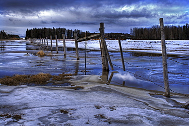 Fence Line in Spring with Melting Snow, Leduc, Alberta