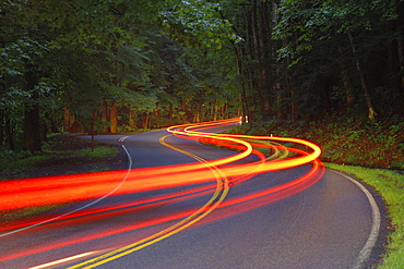 Streaking Traffic Lights, Great Smoky Mountains National Park, Tennessee